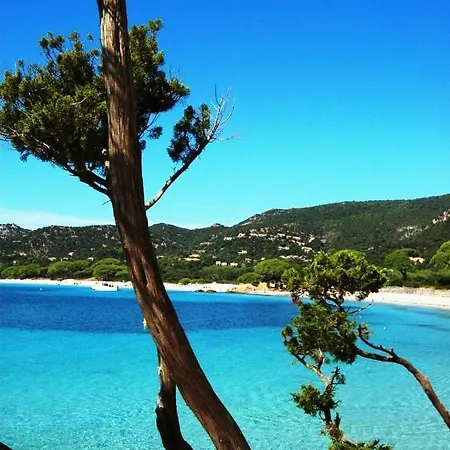 Air-conditioned Porto Vecchio, 500 M Sea, 6 People