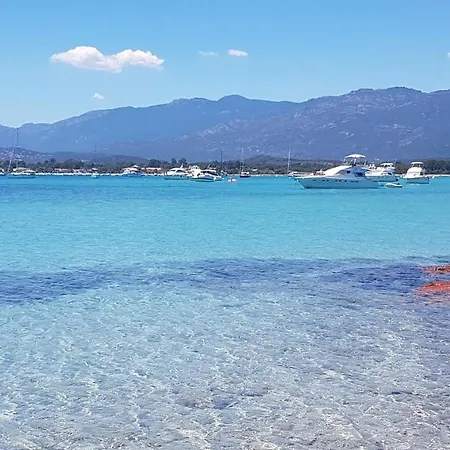 Air-conditioned Porto Vecchio, 500 M Sea, 6 People *